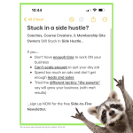 Social ads-7-Stuck in side hustle note - raccoon